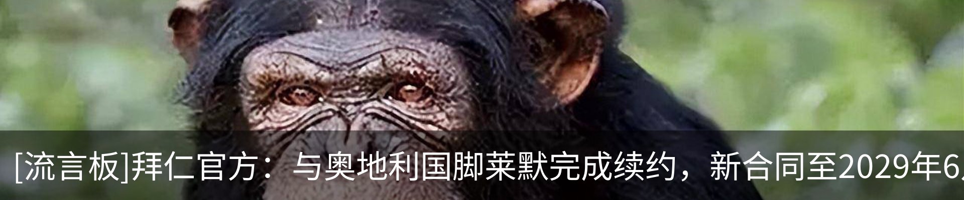 热点资讯